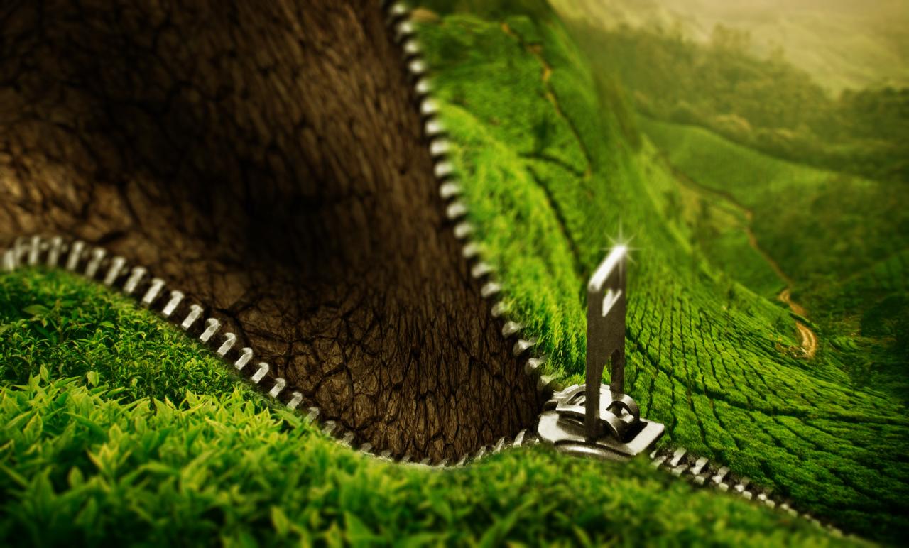nature-zip